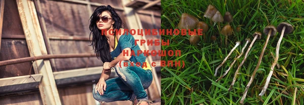 ПСИЛОЦИБИНОВЫЕ ГРИБЫ Медногорск