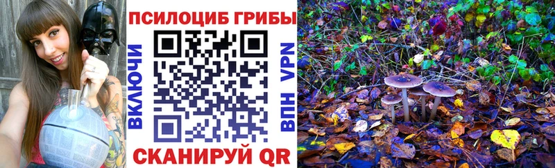 Галлюциногенные грибы Cubensis купить закладку Мышкин